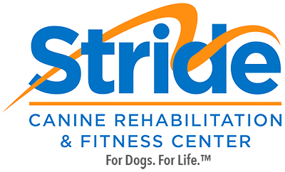 Stride Canine Rehabilitation